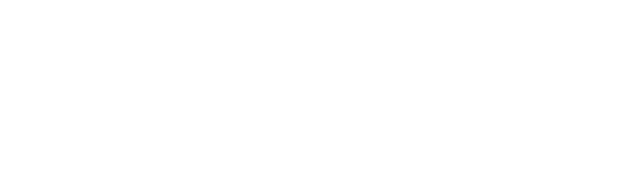 logo AideMonteEscalier
